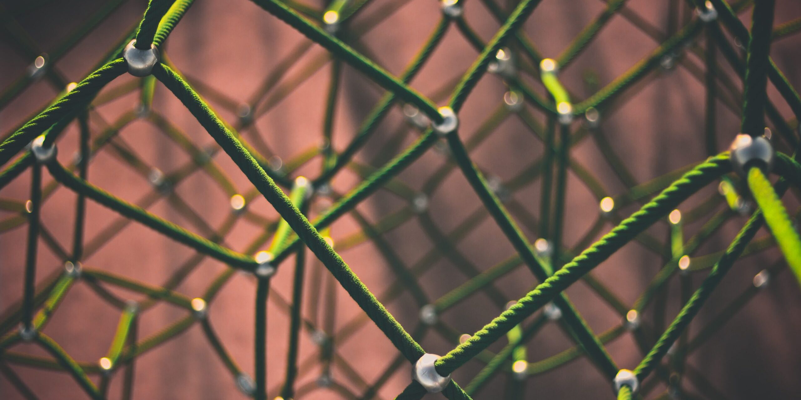 Adaption biedt een innovatieve SaaS-oplossing voor de logistiek